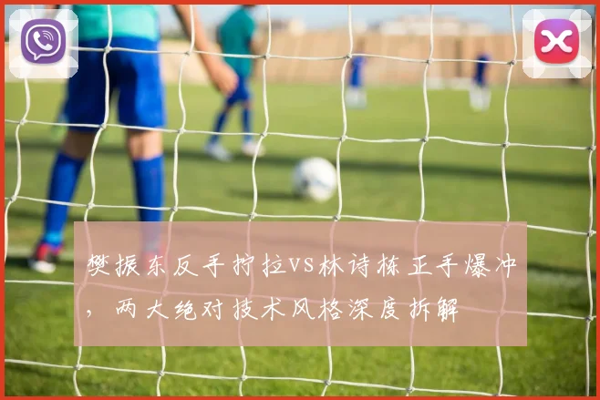 樊振东反手拧拉vs林诗栋正手爆冲，两大绝对技术风格深度拆解