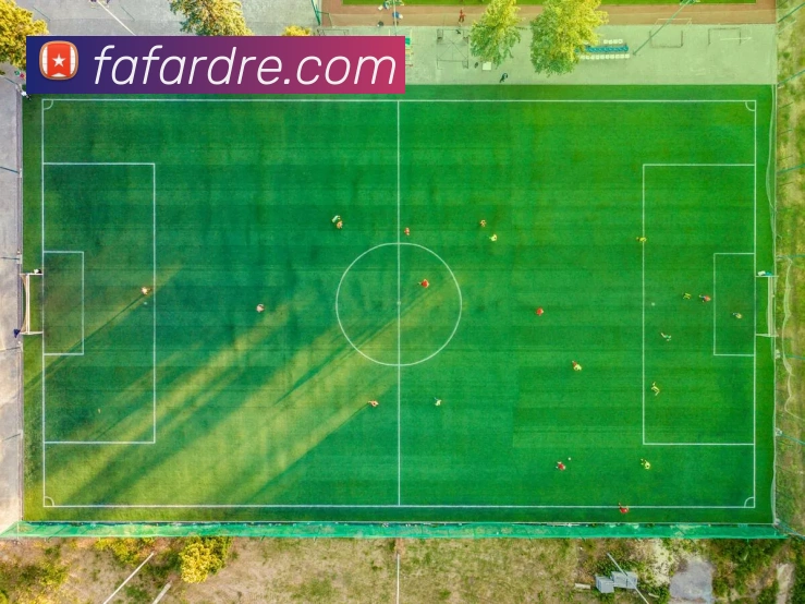 未来规划